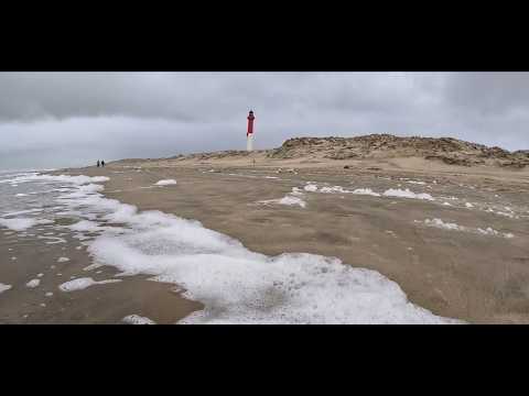 De la baie de Bonne Anse au phare de la Coubre. 17