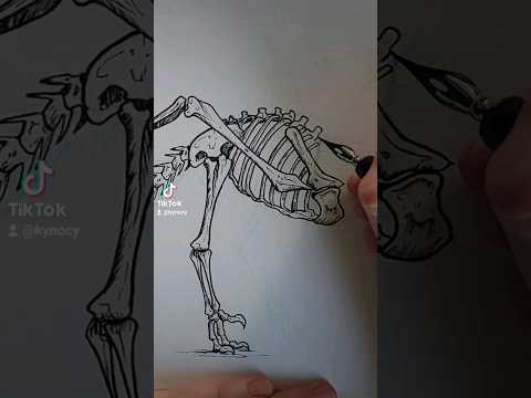 Day 27: Microraptor ••• #art #drawing #ink #dinosaur #inkdrawing #inktober #fossil #skull