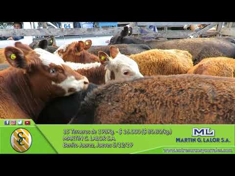 05-12-19 - Venta de Machos - Martín G. Lalor - Benito Juarez