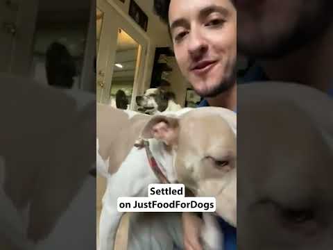 Veterinarian dog food recommendation: Dr. Slevin Maillet