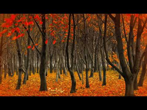 Thể hiện bởi Tuấn Ngọc