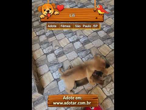 Vídeo de Lili 