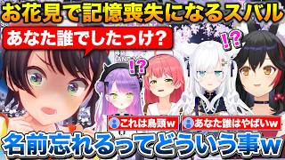 ド珍トワ様でお花見に行ったミオしゃ+エモい話をしてたら突然記憶喪失になるスバル【ホロライブ/大神ミオ/さくらみこ/大空スバル/白上フブキ/常闇トワ/鷹嶺ルイ】