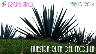 preview picture of video 'Nuestra ruta del tequila [Jalisco 2014] [La Casa Herradura] [Visita Tequilera]'