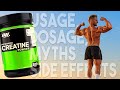 Top Creatine Myths and How To Find Your Right Dosage