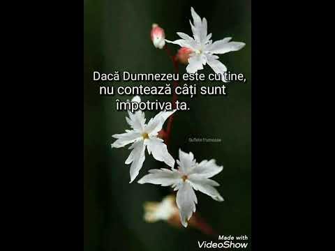 Fratele Casian》Zideste in mine o inima curata