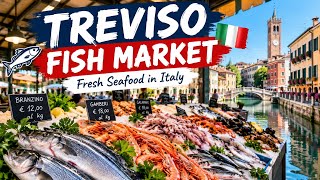 Treviso Fish Market 🇮🇹 | Fresh Seafood in Italy 