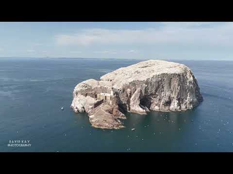 Bass Rock Scotland 
