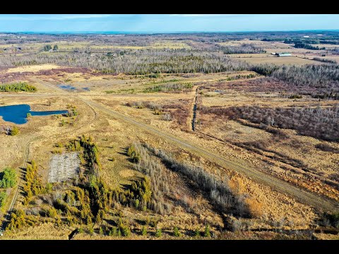 23 Kennedy Road, Caledon Home for Sale - Real Estate Properties for Sale