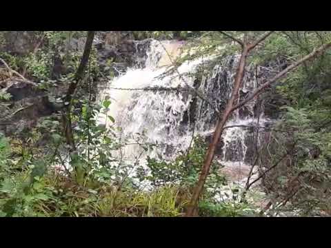 Maestro Ced Ride  Let the music play