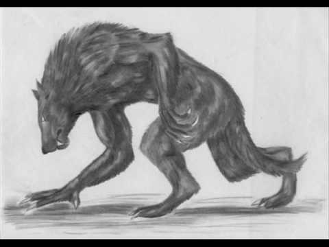 Daniel Landa - Vlkodlakům