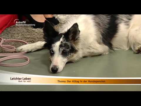 Leichter Leben Amicanis 11 04 2016