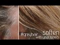how to TONE highlights to BLEND grey hair