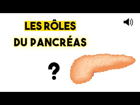 LE PANCRÉAS - Anatomie et Physiologie