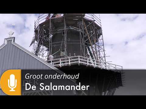 Laatste nieuws uit Leidschendam-Voorburg - Groot onderhoud van houtzaagmolen De Salamander deel 1