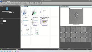 Integrating Attune CytPix image-derived parameters in flow cytometry applications