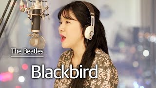 (+1 key up)Blackbird- The Beatles(Boss Baby OST)  Bubble Dia