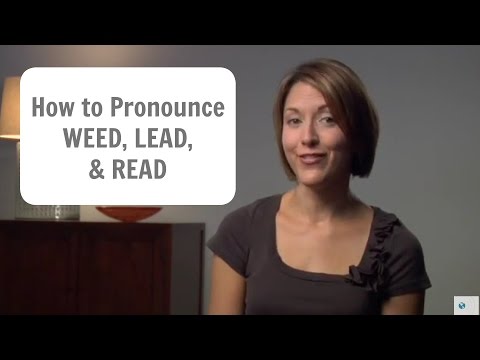 How to pronounce WEED, LEAD, and READ /wid, lid, rid/ - American English Lesson #learnenglish