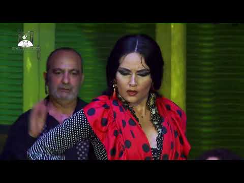 Tangos | Tablao Flamenco El Palacio Andaluz de Sevilla