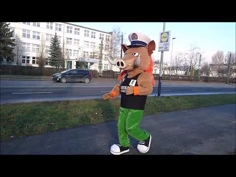 Elabika stroje eventowe jako inspirujące stylizacje na letnie imprezy Dzik Dziki Weekend