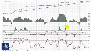 QualityStocks Video Chart IWEB 1/5/11