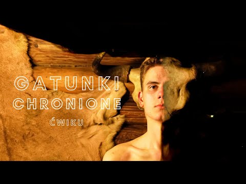Ćwiku  - Gatunki Chronione