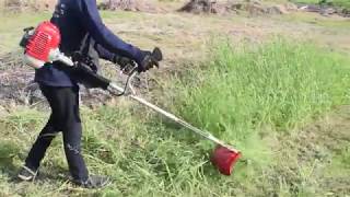 เครื่องตัดหญ้าสะพายบ่า Rapter rap 432 น้ำหนักเบา ใช้งานง่าย