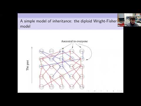 Some Mathematical Models of Evolution: The infinitesimal Model. Alison Etheridge, OBE FRS
