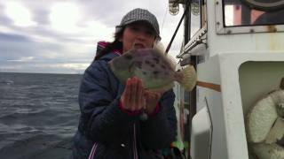 まごうの丸のイメージ