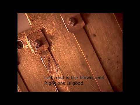 blown harmonica reed