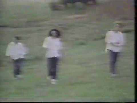 Engenheiros do Hawaii - A Revolta Dos Dândis - Clipe Original