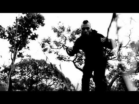 Monkey White - Vertebreak (Video Clip)