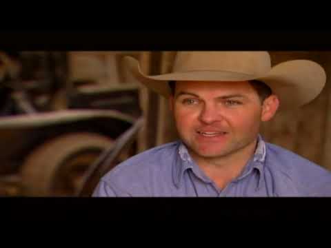 PBR 2006: Western Wishes Profile