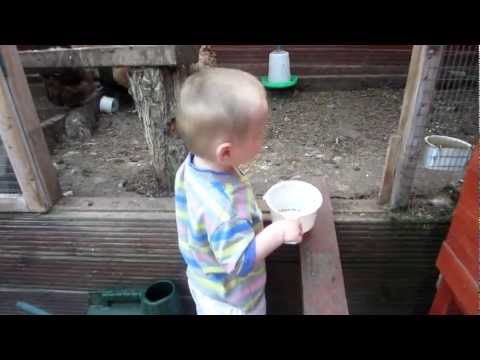Lucas Feeding Chickens