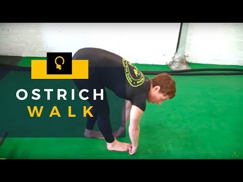 5EW Exercises: Ostrich Walk