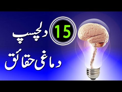 15 Interesting Brain Facts in Urdu