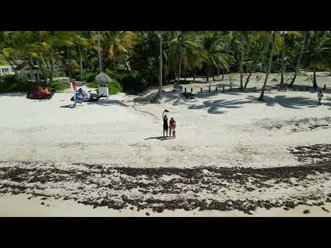 Catalonia Bavaro Beach 2022