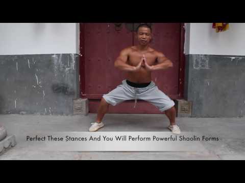 Shaolin 5 Fundamental Stances