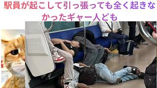 Download lagu マナーの悪い外人が多数「日本にも入り込んでいる」昔は、この様なのは居なかった。 mp3 Download lagu マナーの悪い外人が多数「日本にも入り込んでいる」昔は、この様なのは居なかった。 mp3