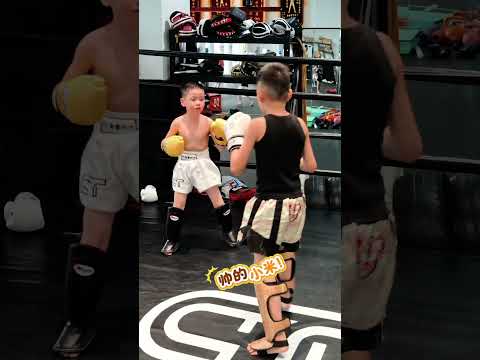 Mini fighters, major skills! 🥊👶 # #boxing #boxing #muaythaifamily #kickboxing #thaiboxinglife