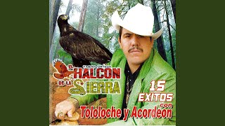 Caballo De Pancho Villa Lyrics English Translation