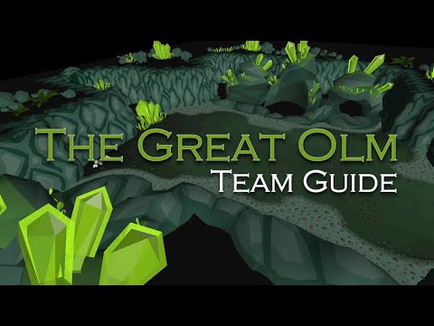 The Great Olm Team Guide - Beginner Tips and Skipping Special Attacks