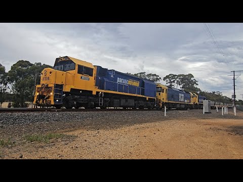 7733V PN down empty grainy (XR559 BL33 X50, 40H), Geelong to Murtoa, 1820, 19/12/25, Deep Lead VIC 