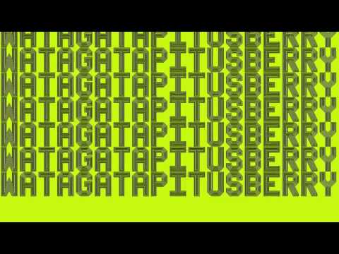 WATAGATAPITUSBERRY (Toy Selectah Mex-More Remix)