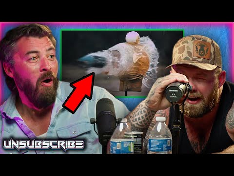 Do Public Executions WORK?