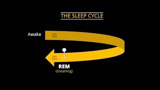 Reading Explorer Foundation, Unit-7 Parasomnia
