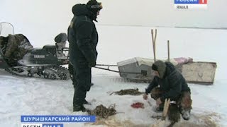 Ловля осетра зимой на оби