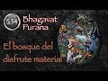 BHAGAVAT PURANA Audiolibro Español Voz Humana 5 14 El Bosque Del Disfrute Material