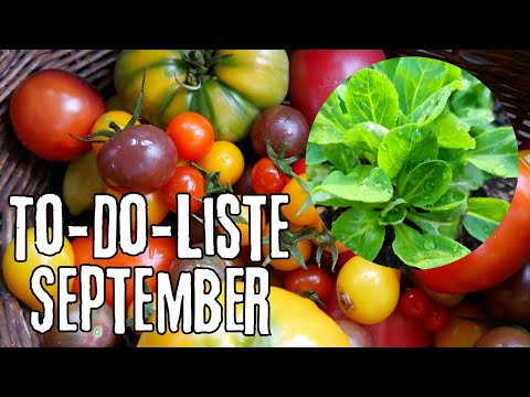 Gartenarbeit September: Aussaat, Ernte & Verarbeitung