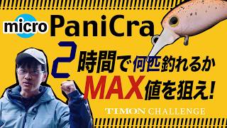 【TIMONエリアトラウト】マイクロパニクラでサンクチュアリ、２時間で何匹釣れる？MAX値にチャレンジ！ 鈴木将人